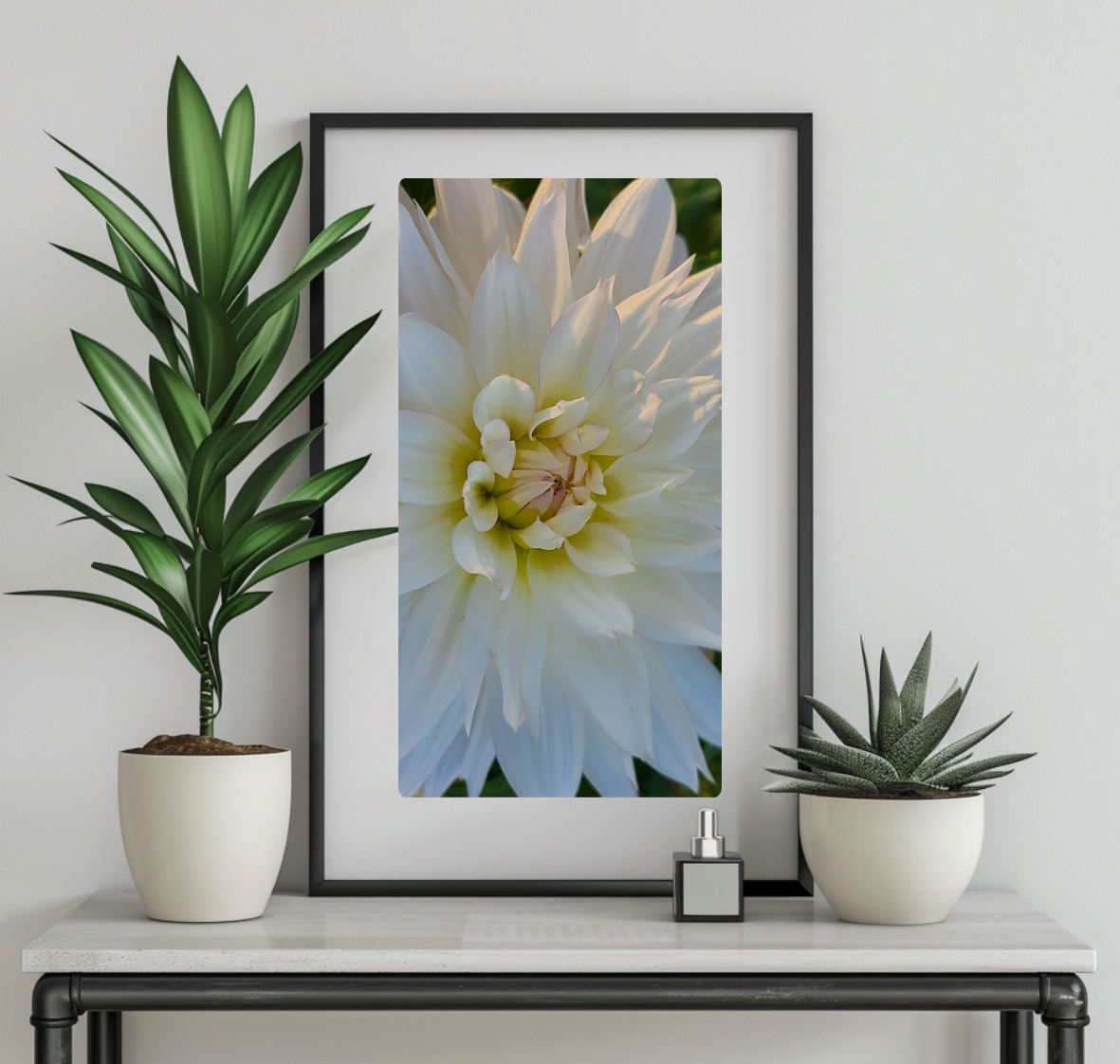 Instant Printable Wall Art - White Chrysanthemum Flower- Digital Download