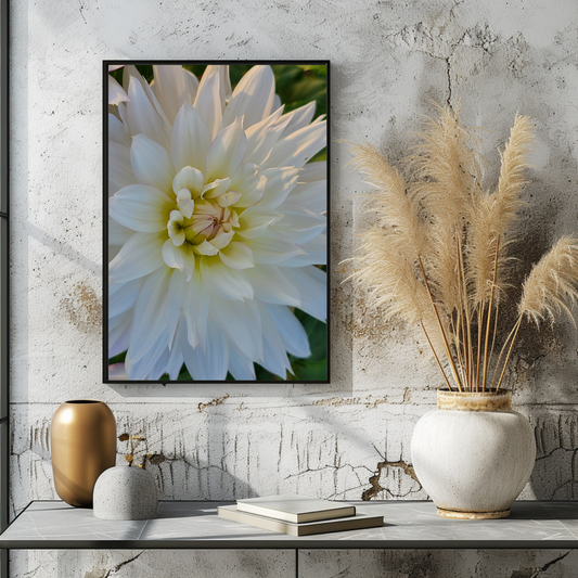 Instant Printable Wall Art - White Chrysanthemum Flower- Digital Download